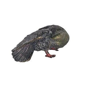 Antique Vienna Austrian Cold Painted Bronze Pigeon Bird Figurine Preening